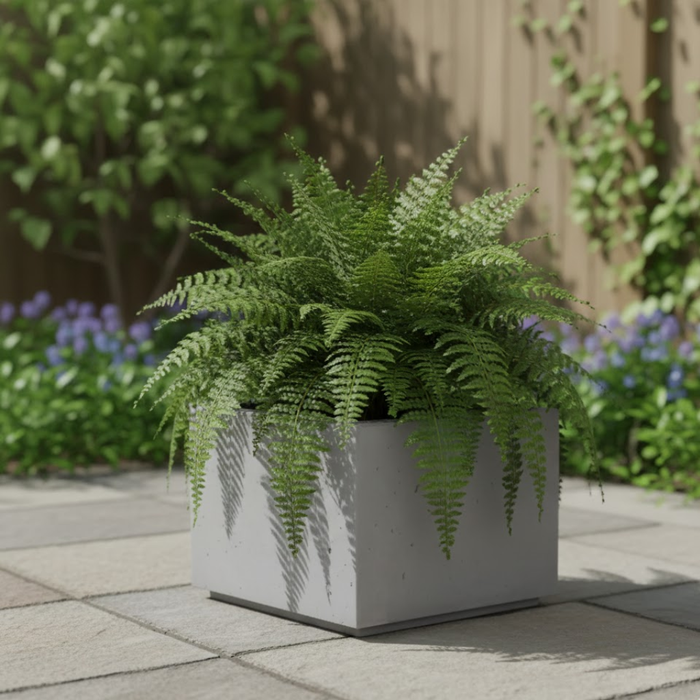 Modern Series Square Short Planters