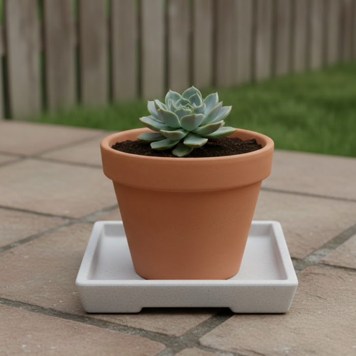 Classic Saucers – Square