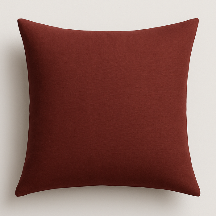 22"x22" Throw Pillow