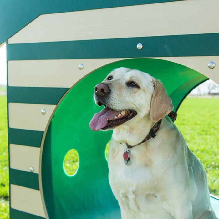Recycled Curved Tunnel with Dog House