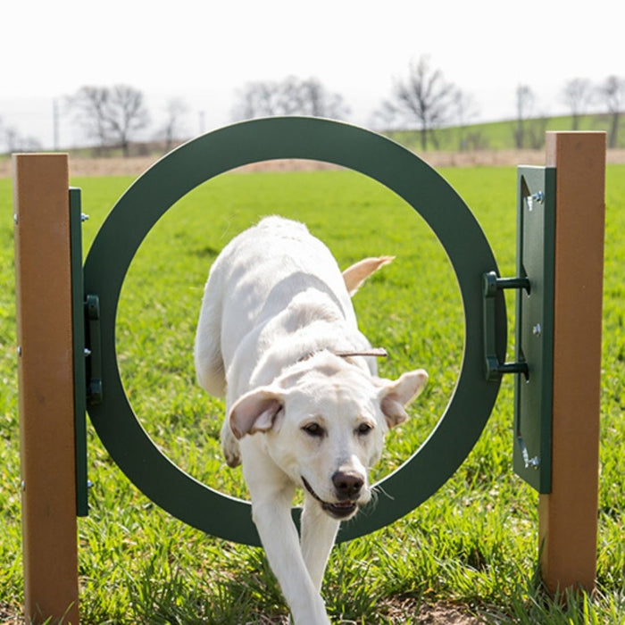 Recycled Adjustable Ring Jump
