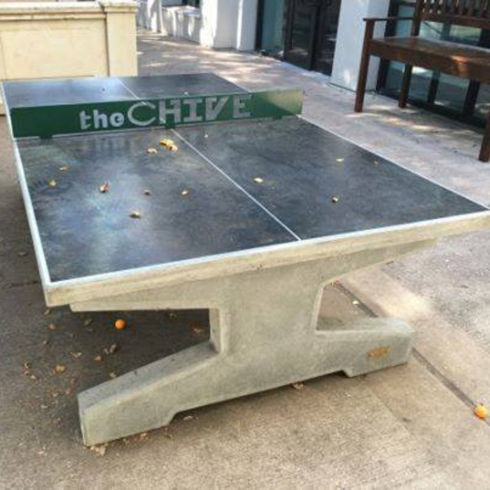 Uptown Concrete Ping Pong Table with Custom Engraved Net