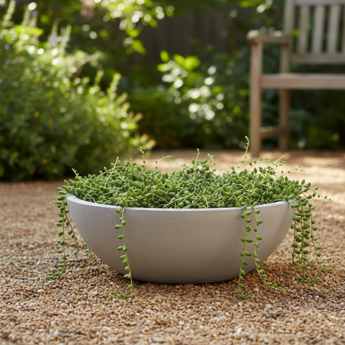 Wok Series Planters