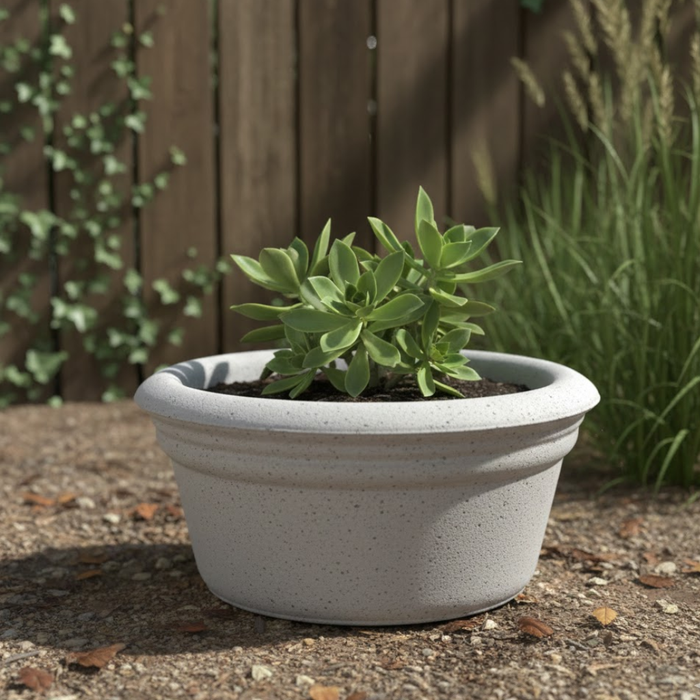Low Bowl Series Planters