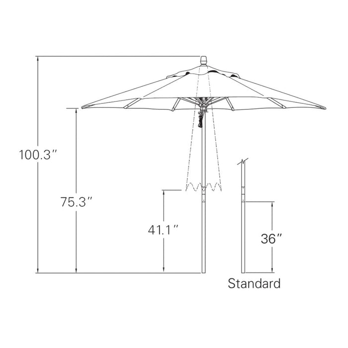 Quad Pulley Lift Octagon Series 9'