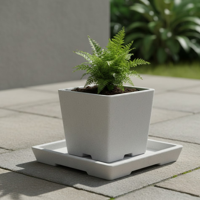 Roma Saucers – Square